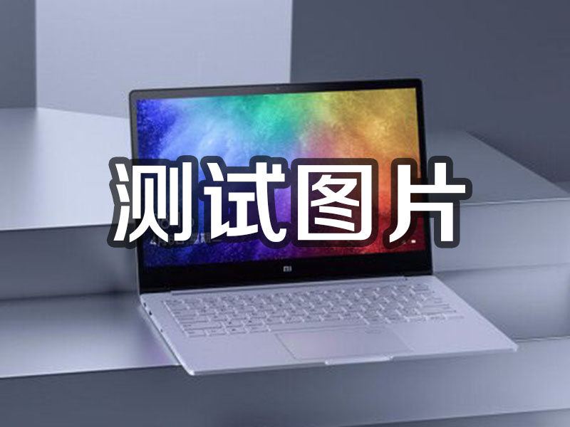 新蔡1231231